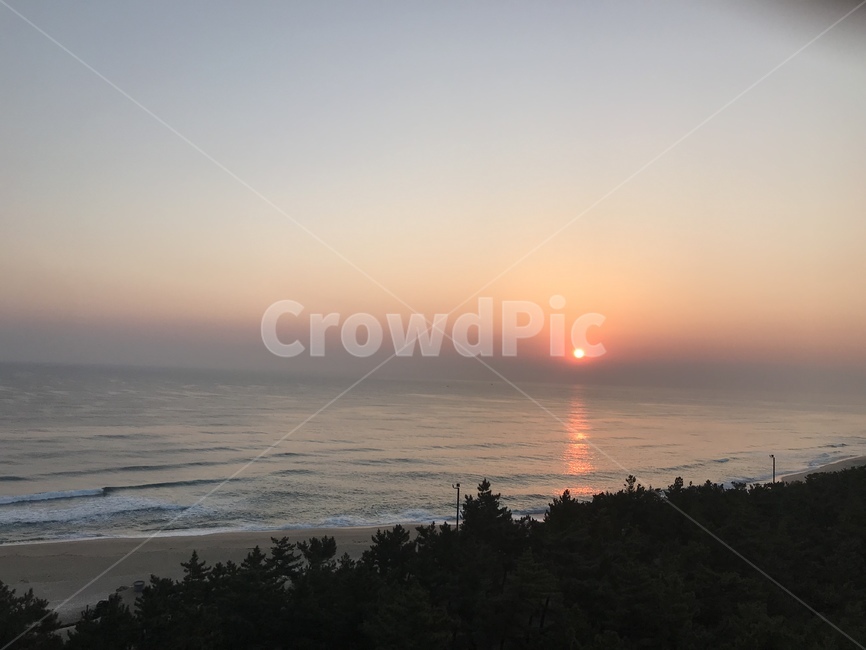 해돋이,바다,풍경,일출,자연,강릉,자연,풍경,nature,landscape,outdoors,옥외