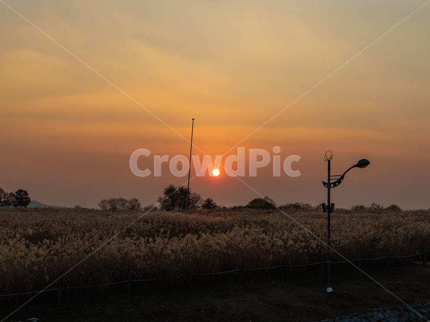 노을,가을,하늘,풍경,갈대,억새,감성,색감,가을,계절,fall,autumn,season,자연,풍경,nature,landscape,outdoors,옥외