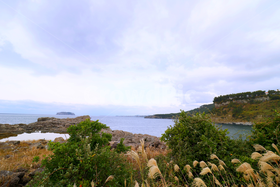 제주도,바다,갈때,풍경,배경,자연,풍경,nature,landscape,한국자연풍경,한국자연경관,korea nature landscape,제주도,jeju,jeju island,outdoors,옥외,land,땅,promontory,곶