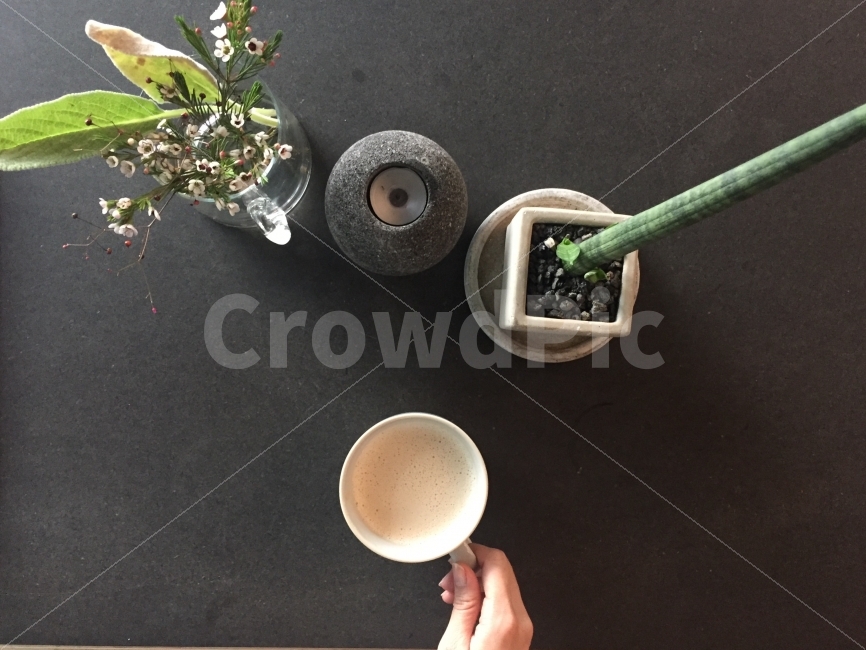티타임,커피,여유,휴식,카페,식물,자연,plants,nature,커피,카페,coffee,cafe,인테리어,실내디자인,interior design
