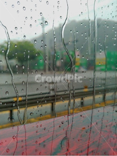비,rain,빗방울,droplet,작은물방울,가을