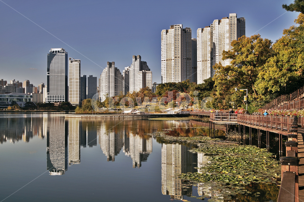 광교호수공원,영통,공원,호수,수원시,탐방로,아파트,반영,한국도시풍경,한국도시경관,korea cityscape