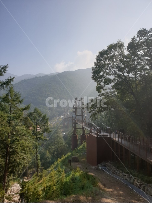 좌구산,휴양림,좌구산휴양림,다리,하늘다리,숲,자연,건축물,건물외관,exterior,building,structure,architecture,construction