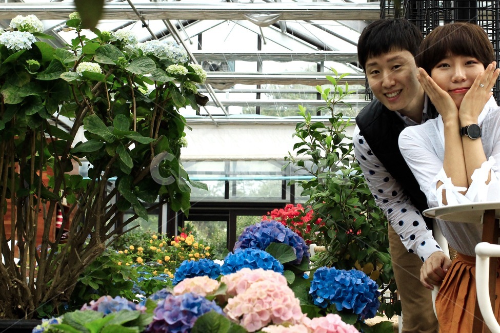 제주도,화원,꽃,커플,데이트,수국,꽃밭,couple,flower,date,연인,커플,사랑,lover,couple