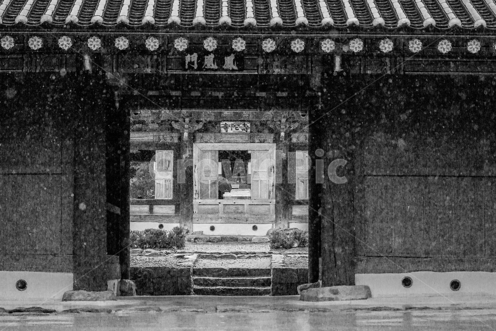 사찰,우중의절,전통유산,기와,문화유산,한국의미,한국전통,한국문화,korean traditional,korean culture,흑백,모노톤,monochrome,black and white