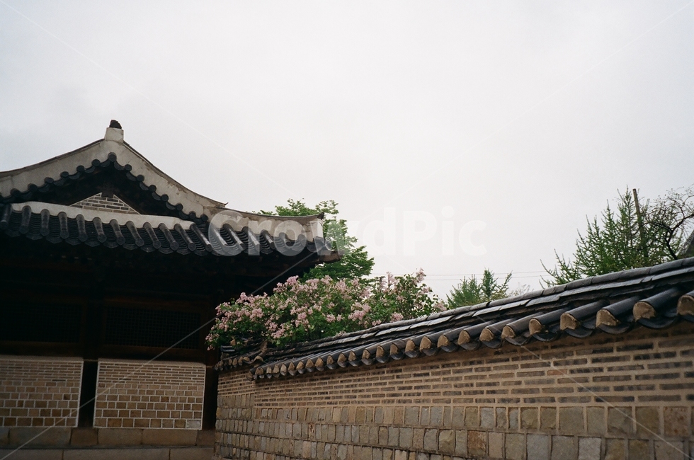 화성,화성행궁,고궁,한옥,기와,담벼락,감성,풍경,필름사진,roof,지붕