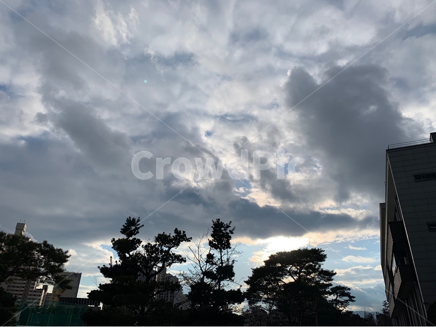 저녁,하늘,건물,노을,구름,대학교