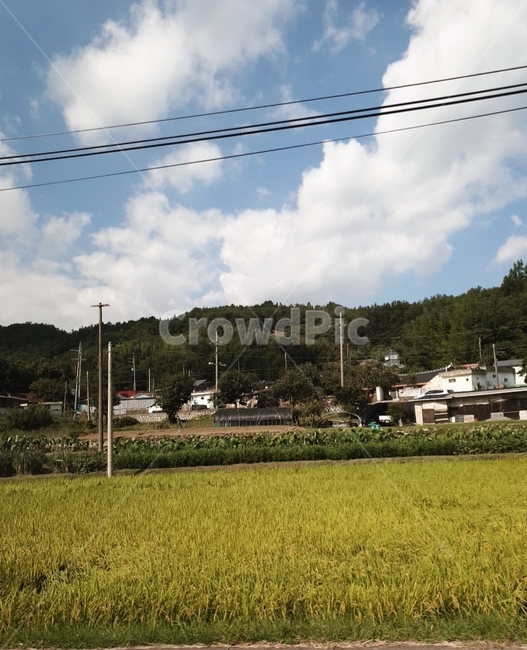 하늘,시골,들,grassland,field,시골,마을,풍경,landscape,country,rural,town