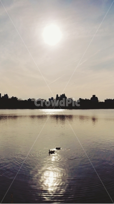 강,하늘,공원,오리,자연,동물,자연,풍경,nature,landscape,water,물,outdoors,옥외