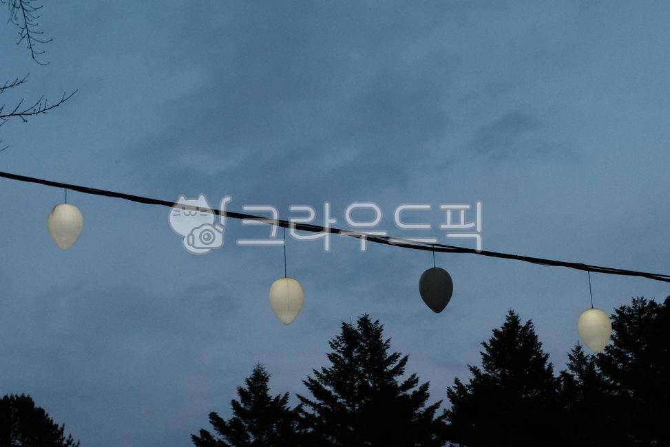 sky,bulb,tree,light bulb turned on,light bulb turned off,electric wire