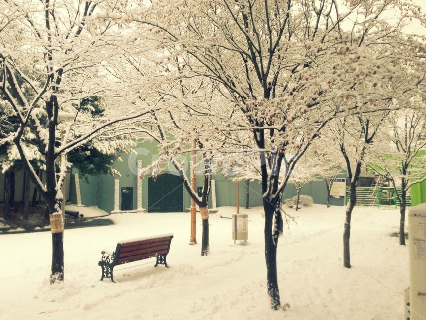 겨울,폭설,눈,눈꽃,벤치,bench,가구,furniture