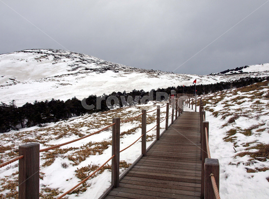 어리목,제주도,한라산,겨울산,겨울,설경,설화,눈,탐방로,등산로,겨울,계절,winter,season,자연,풍경,nature,landscape,building,건물,boardwalk,산책로,bridge,다리
