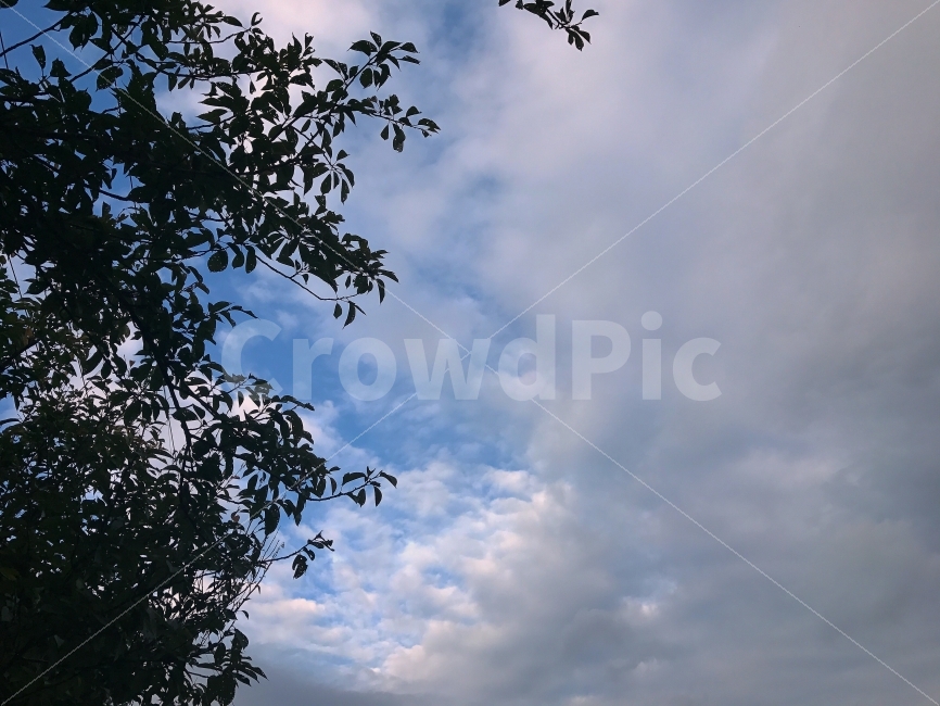 하늘,구름,감성,분위기,일상,자연,풍경,nature,landscape,outdoors,옥외