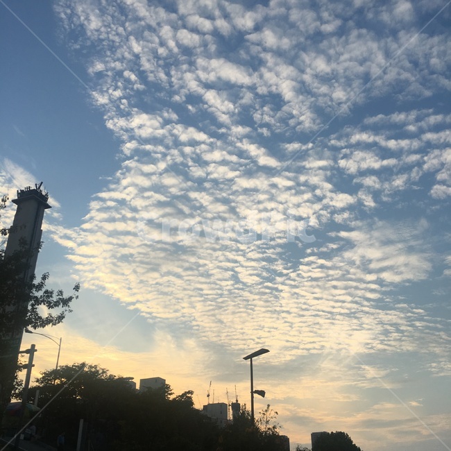 하늘,구름,일상,여름,노을,저녁,초저녁,8월,계절,sky,summer,분위기,자연,풍경,nature,landscape,outdoors,옥외,flare,플레어,light,빛