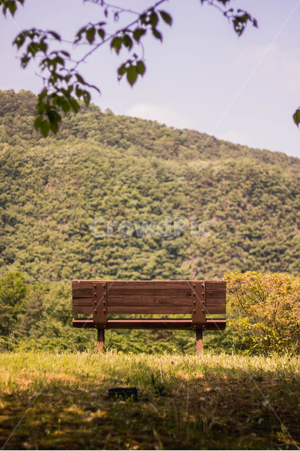 벤치,가을,따뜻함,쓸쓸함,의자,bench,fall,warm,loneliness,옥천,장계유원지,자연,풍경,nature,landscape