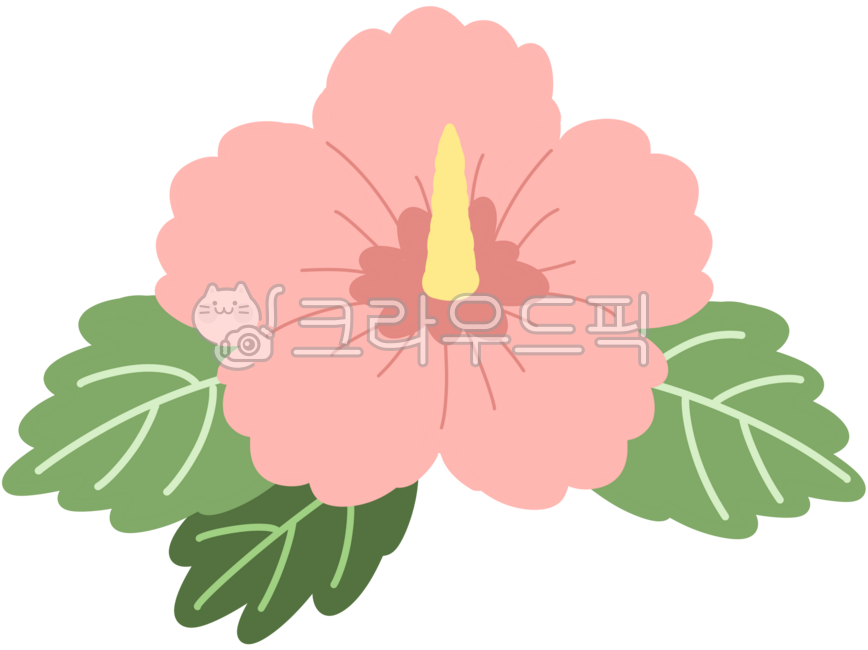 Patriotism,chrysanthemum,national flower,Rose of Sharon,pink,Republic of Korea,flower,Liberation Day,Dokdo Day,March 1st Independence Movement Day