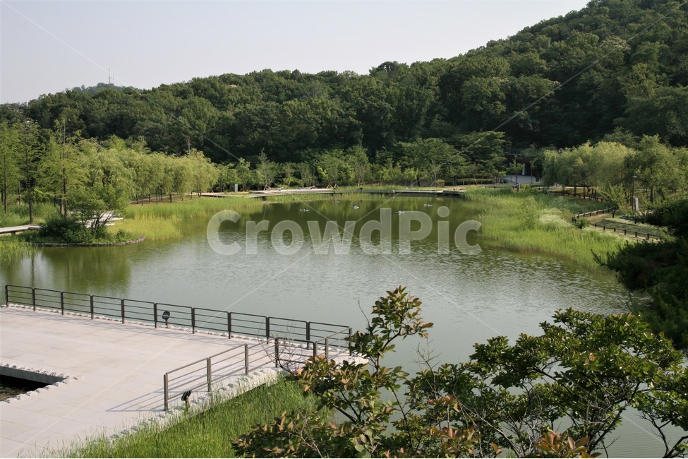북서울,꿈의숲,나무,공원,호수,인공,자연,풍경,nature,landscape,sport,스포츠,tennis court,테니스 코트,sports