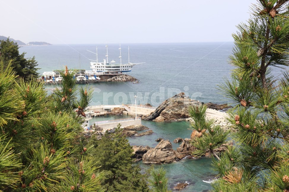 나뭇가지,바다,바위,배,섬,솔잎,나무,sea,rock,돌,stone,고화질,경치,자연
