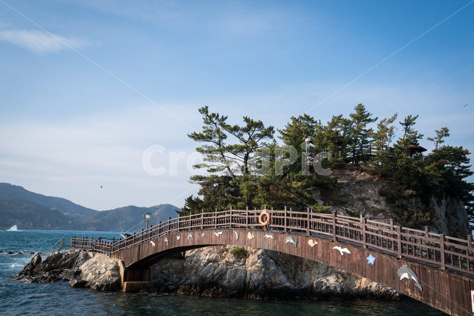 자연,바다,겨울,삼척,장호항,다리,자연,풍경,nature,landscape