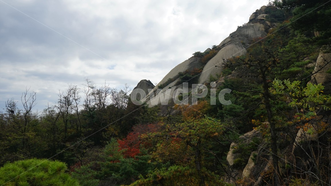 산,나무,숲,자연,녹새,하늘,파란,가을,mountain,trees,forest,granite,자연,풍경,nature,landscape,outdoors,옥외