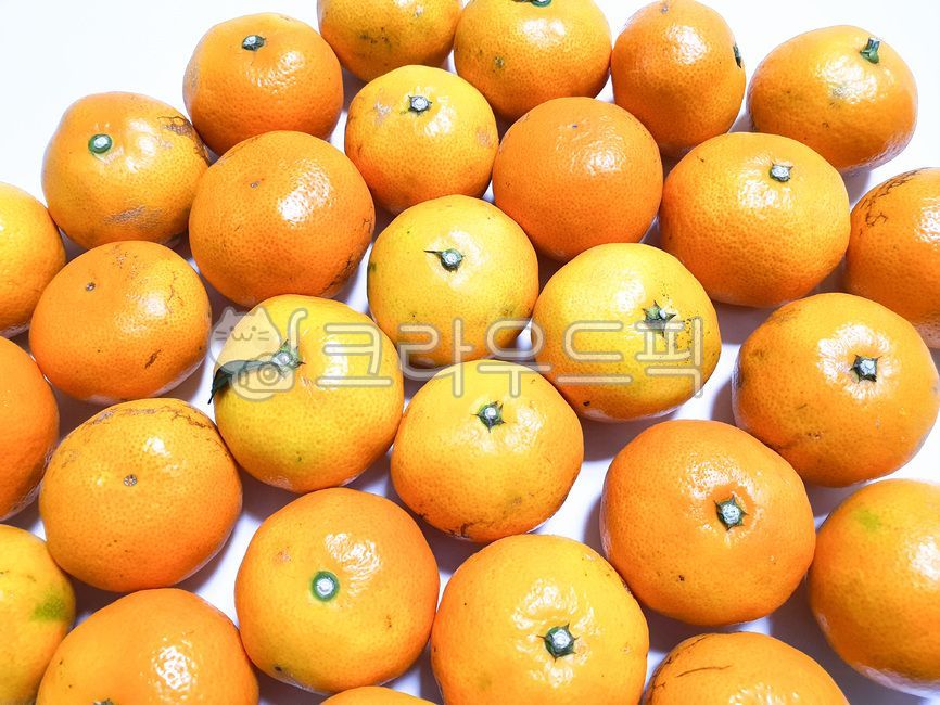 과일, 귤, 감귤, tangerine, 음식, 사진,이미지,일러스트,캘리그라피 - HAPPY RICH작가