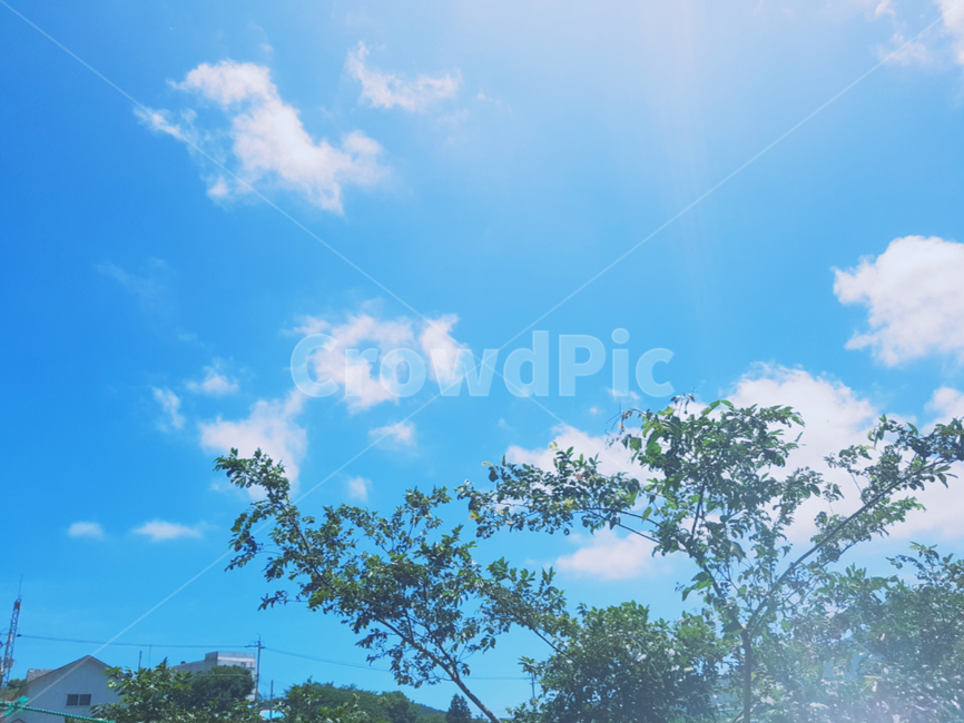 나무,집,힐링,구름,해,자연,풍경,nature,landscape,outdoors,옥외,azure sky,푸른 하늘,sky,하늘