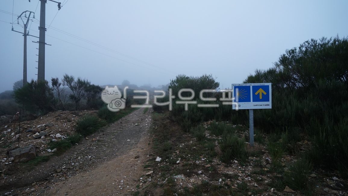 gravel,도로,바닥,산티아고,순례자길,유럽,스페인