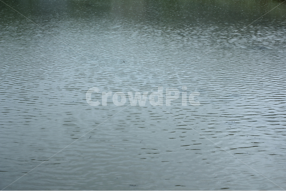 물,표면,호수,강,물결,자연,바다,자연,풍경,nature,landscape,water,outdoors,옥외