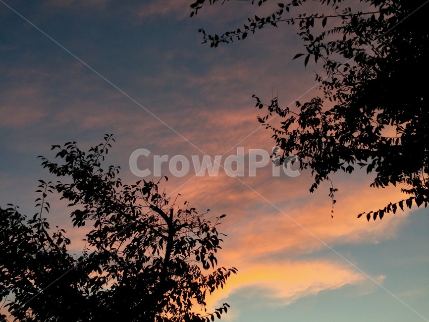 하늘,경치,배경,감성,분위기,구름,cloud,sky,sentiment,tree,leaf,나무,분홍,저녁,노을,night,자연,풍경,nature,landscape,실루엣,그림자,silhouette,shadow,outdoors,옥외,sunset,일몰,red sky,붉은 하늘,dusk,황혼,dawn,새벽