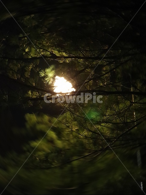 light,빛,flare,nature,자연