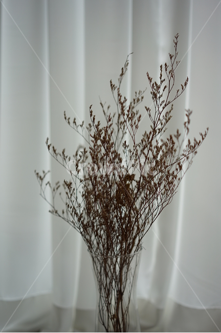 미스티,드라이플라워,창가,창가자리,흰커튼,꽃,꽃병,말린꽃,식물,자연,plants,nature,실내용화초,화분,화초,house plant,인테리어,실내디자인,interior design