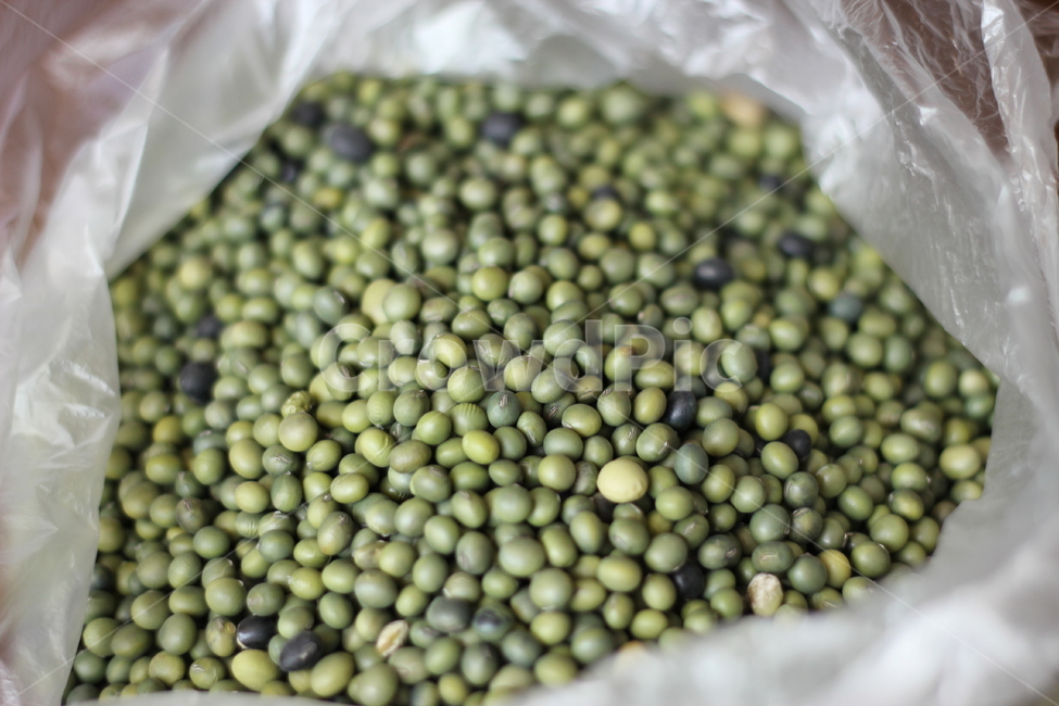 콩나물콩,콩,콩자루,콩구매,쥐눈이콩,음식,식재료,요리,food,cook,meal,dishes,food reserves