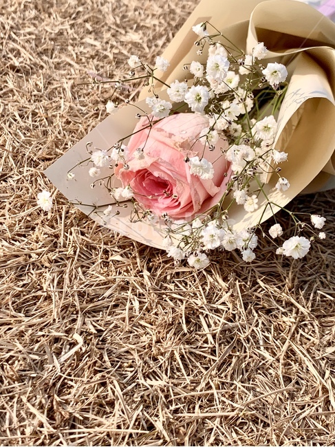 꽃다발,꽃,졸업식,안개꽃,장미꽃,장미,식물,flower,plant,기념일,축하,anniversary,congratulation,celebrate,celebration