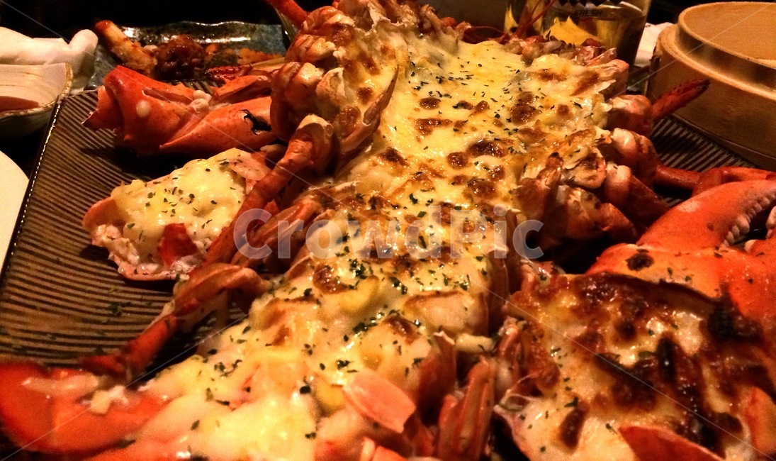 로브스터,랍스타,바닷가재,해산물,치즈,안주,맥주안주,회식,데이트,음식,식재료,요리,food,cook,meal,dishes,food reserves,양식,서양음식,서양요리,western food,western dishes,western meal,western cook