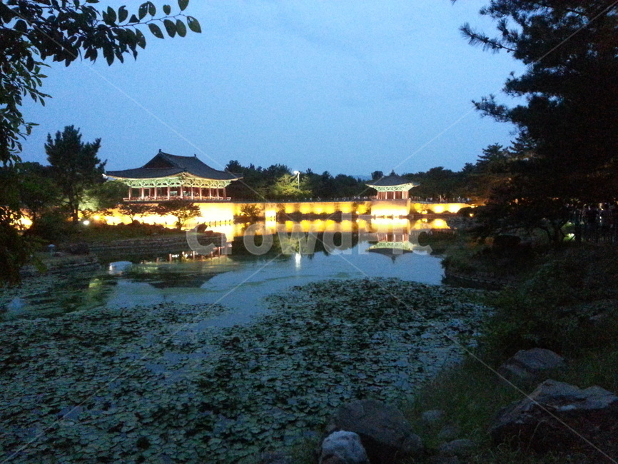 야경,풍경,자연,연못,나무,야경,밤,풍경,nightscape,night,landscape,한국전통,한국문화,korean traditional,korean culture,랜드마크,landmark,tourist attraction,한국랜드마크,한국관광지,한국명소,korea landmark,korea tourist attraction,건축물,건물외관,exterior,building,structure,architecture,construction,건물