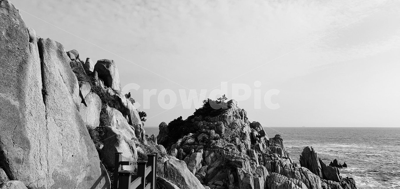 흑백,하늘,바다,풀,파도,자연,풍경,nature,landscape