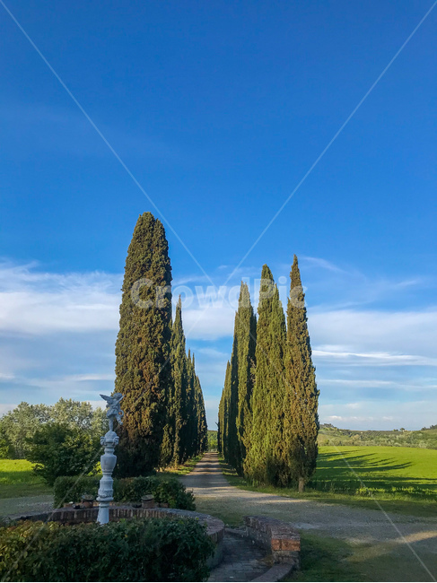 토스카나,하늘,tuscany,toscana,나무,푸른,sky,이탈리아,이태리,italy,italia,초록,투스카니,해외,해외자연,자연풍경,자연,풍경,발도르차