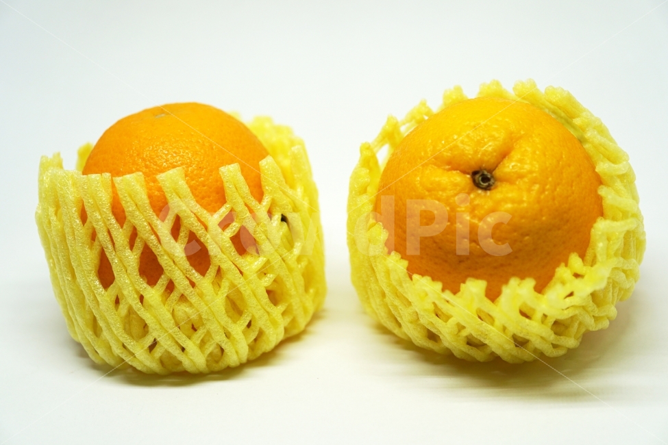 오렌지,누끼,과일,열매,orange,fruit,푸르트,디저트,식재료,cook,비타민,노랑색,노란색,생활용품,주방용품,음식,사물,물건,열대과일,누끼사진,오브젝트,object,요리,레시피,신선도,신선한,신선하다,싱싱한,싱싱하다,식자재,food,식품,meal,식물성,노랑,노란,yellow,vegetable,농작물,농산물,먹거리,먹을거리,먹을거,먹을것,음식,식재료,요리,food,cook,meal,dishes,food reserves,과일,열매,fruit,누끼,remove background