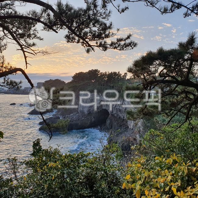 소정방굴,제주,동굴,해양동굴,나무,꽃,해안선,바다,하늘,노을,물,대양,자연,옥외
