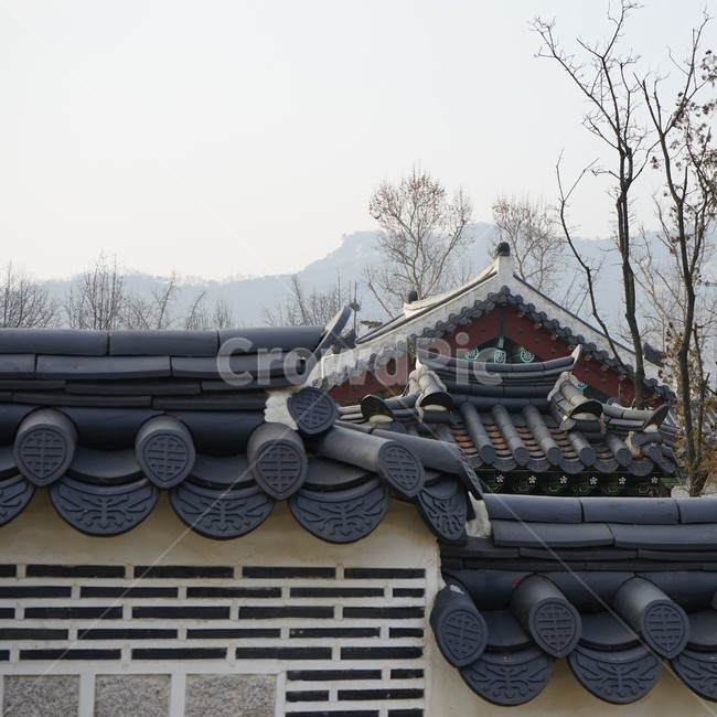 고궁,경복궁,기와,벽,담,담장,old,traditional,building,Korea,Chosun,조선시대,기와집,지붕,전통,한옥,패턴,옥상,배경,전통적인,한국의construction,한국전통,한국문화,koreantraditional,koreanculture,건축물,건물외관,exterior,structure,architecture,기와지붕,고전건축,고전,한국의미,궁궐,건물,건축기술,한국전통,한국문화,korean traditional,korean culture,건축물,건물외관,exterior,building,structure,architecture,construction