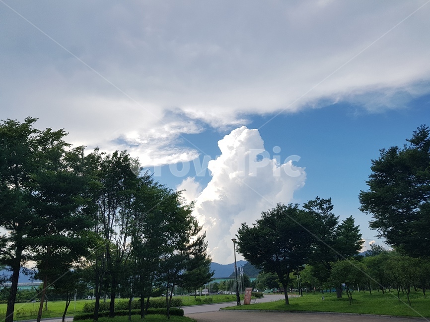 하늘,구름,뭉개구름,나무,자연,sky,휴식