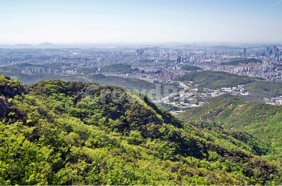 관악산,산,등산,능선,서울도심,관악구,금천구