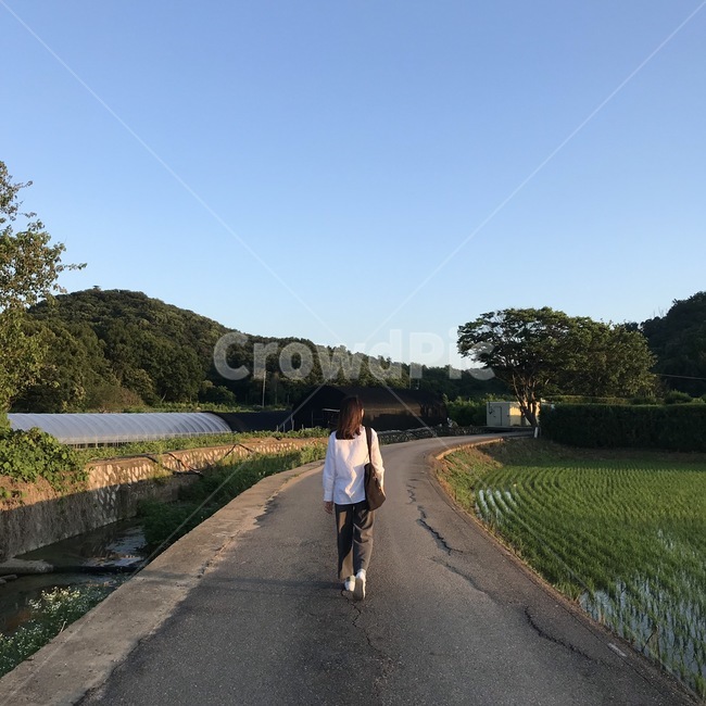 사람,person,human,여자뒷모습,여자머리카락,슬랙스바지,흰색셔츠,흰색셔츠여자,에코백,시골,비닐하우스,길,나무,논밭,걸음,womanhead,tree,country,인간,계양역,인천,한국,여성,여자,woman,female,lady,여행,휴가,traveling,vacation,trip