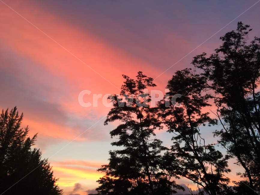redsky,붉은하늘,sunset,일몰,dusk,황혼,nature,자연,sky,하늘,outdoors,옥외,구름,cloud,나무,tree