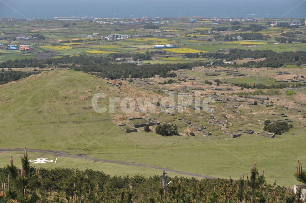 nature,자연,제주,섬,우도,jeju,island,제주도,jeju,jeju island