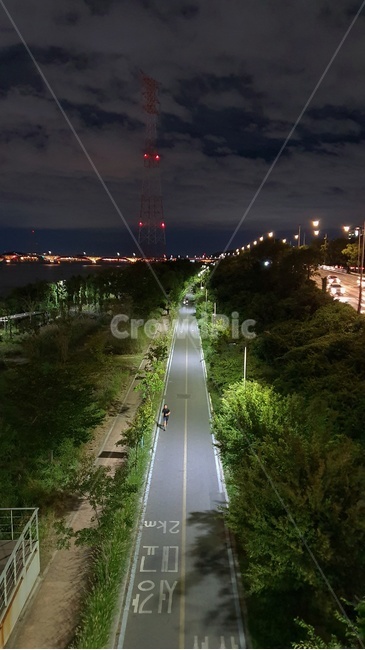 한강,산책,런닝,조깅,야경,밤,road,도로,running,jogging,night,nature,자연,야경,밤,풍경,nightscape,night,landscape