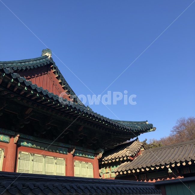 한옥,창덕궁,전통,하늘,전통문양,기와,햇살,한국전통,한국문화,korean traditional,korean culture,건축물,건물외관,exterior,building,structure,architecture,construction