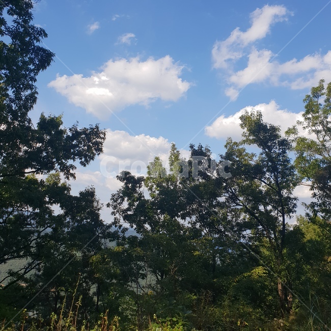 산,풍경,나무,자연,구름