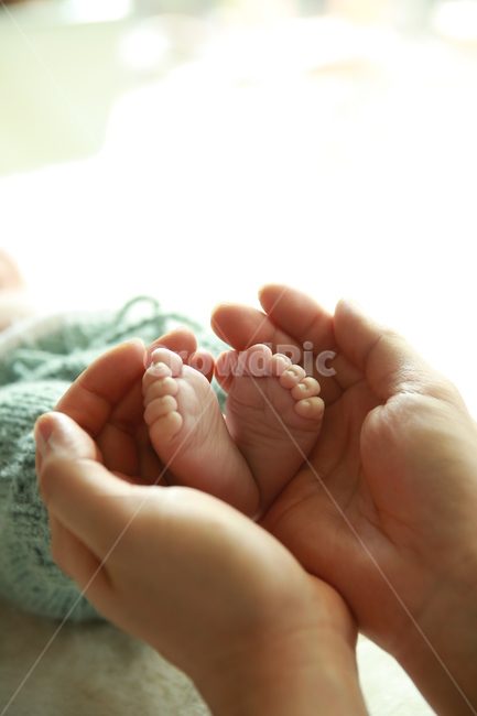 아기,신생아,엄마와아기,newborn,baby,mom,mother,feet,아기발,사랑,사람,인물,인간,human,person,신체일부,몸,body,가족,패밀리,family,영유아,아기,애기,아이,infants,baby,감성,sensible,feeling