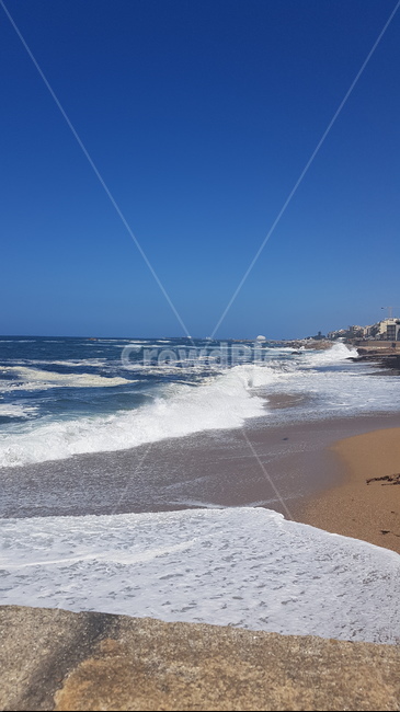 water,물,ocean,대양,nature,바다,sea